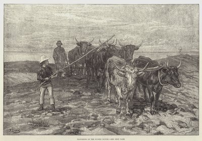Ploughing on the Sussex Downs by Frank Dadd